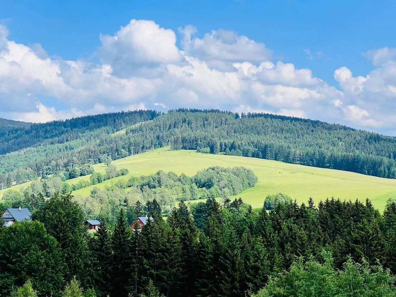 Chalupa Chriby Destne v Orlickych horach Bagian luar foto